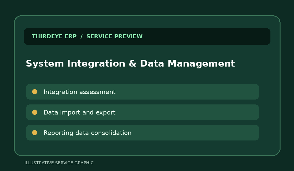 Illustrative graphic for System Integration & Data Management